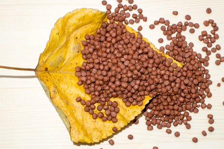 Granulated food for aquarium fish for yellow foliage. It is used to enhance colors of fishの写真素材