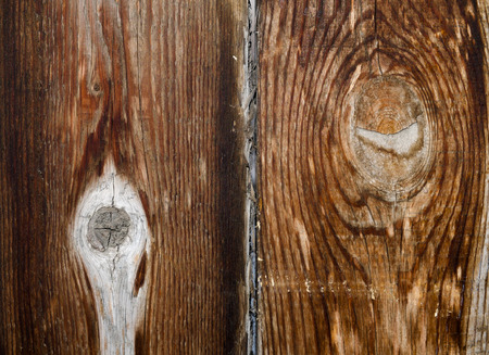Surface texture from old wood planksの写真素材
