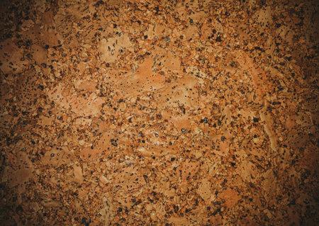 The structure of cork coveringsの写真素材