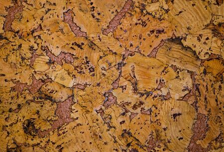 The structure of cork coveringsの写真素材