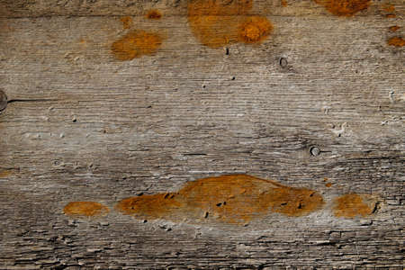 old wood board use for background. rust on a wooden surfaceの写真素材