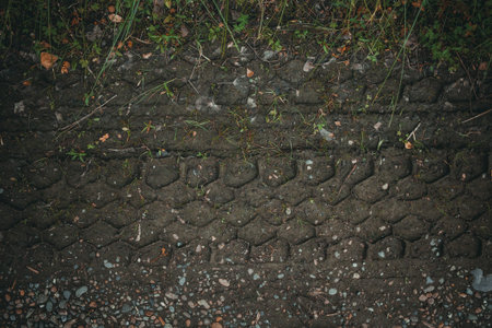 Top view on mud in dark rural road track