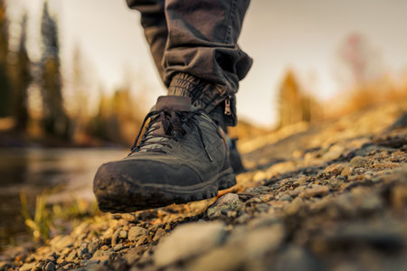 mens foot steps in the woodsの写真素材