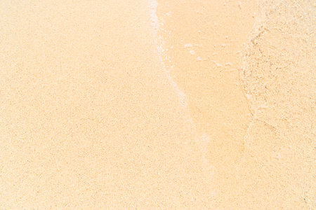 Sand texture on the beach background. Close up of sand texture.の写真素材
