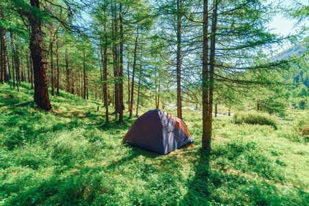 hiking tent in the forest