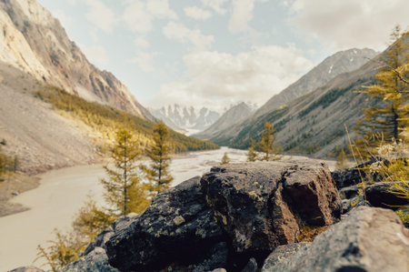 empty stone surface like a table in the wildの写真素材