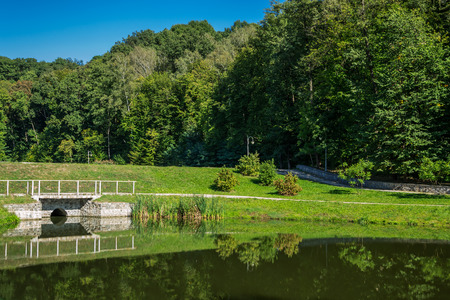 Scenic lake in the summer parkの写真素材