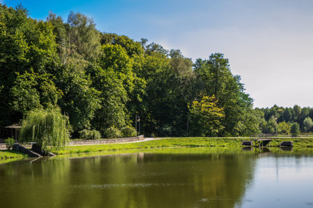 Scenic lake in the summer park
