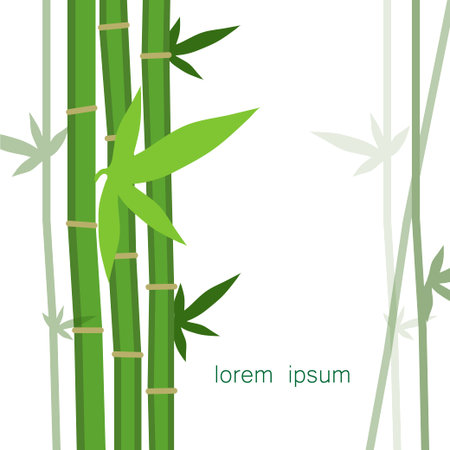 Bamboo illustrationのイラスト素材