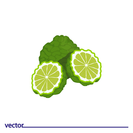 Flat Icon of bergamot. Isolated on white background. Modern vector illustration for web and mobileのイラスト素材