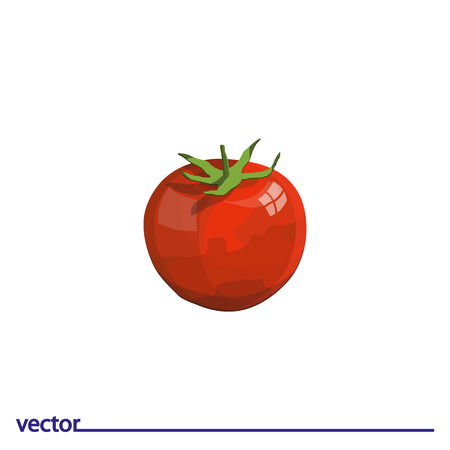 Icon of tomato. Isolated on white background. Modern vector illustration for web and mobile.のイラスト素材