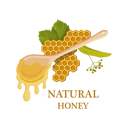 Sweet honey. 100% natural Honey. Linden honey drop. Healthy nutrition.のイラスト素材