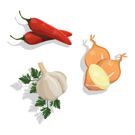 Vector image of kitchen spices. Garlic, onion, Red chili pepper. Isolated on white background.のイラスト素材