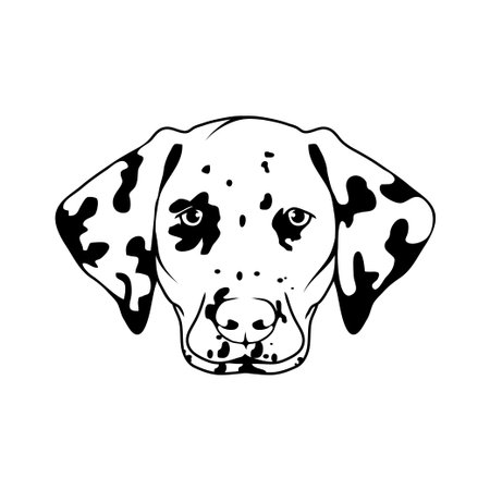 Dalmatian dog head icon dog collectionのイラスト素材