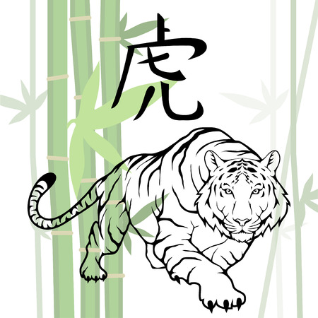Chinese Tiger. (Chinese Translation: Tiger)のイラスト素材