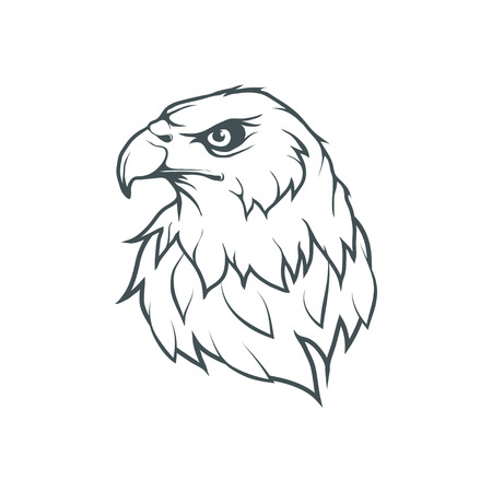 Eagle head, hand drawn Illustration.のイラスト素材