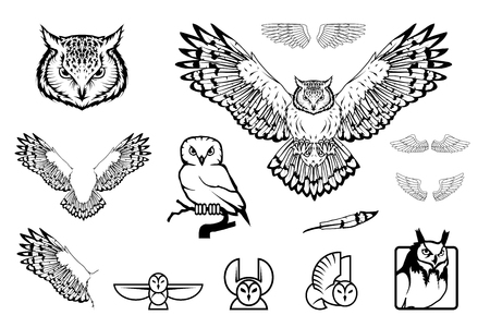 Set of owl icon. Wild birds drawing. Head of an owl. Vector graphics to designのイラスト素材