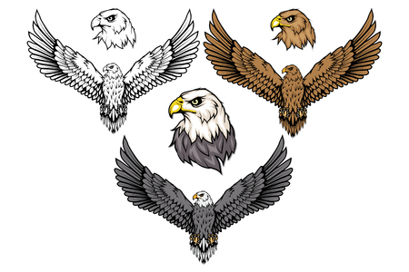 American eagle set. Bald eagle. Wild birds drawing. Head of an eagle. Vector graphics to designのイラスト素材