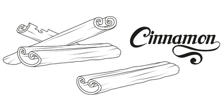 hand drawn cinnamon sticks, spicy ingredient, cinnamon logo, healthy organic food, spice cinnamon on white background, culinary herbs, label, food, natural healthy food, vector graphic to design.のイラスト素材