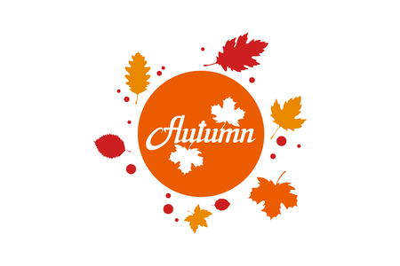 hand drawn autumn lettering, colored autumn concept isolated on white background, colour illustration of autumn leaves, templates for logotype, flyer, poster, card, label, badge, banner, oktoberfestのイラスト素材