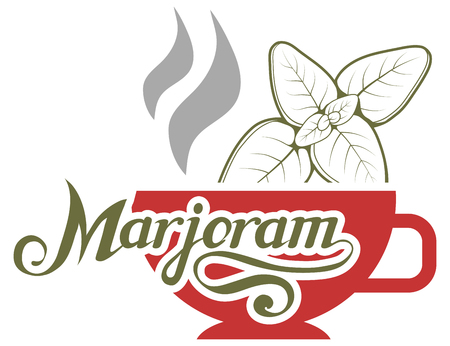 hand drawn marjoram leaves, spicy ingredient, marjoram logo, healthy organic food, spice marjoram on white background, culinary herbs, label, food, naturalのイラスト素材
