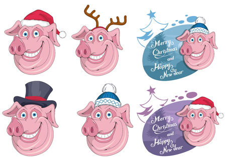 Christmas pig isolated on white background. New Year's holiday. Christmas pig. Winter character head. Funny christmas character. Winter celebration. Pig dressed in winter clothes. New Year Pig.のイラスト素材