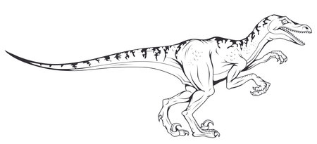 velociraptor vector dinosaur , vector graphic to designのイラスト素材