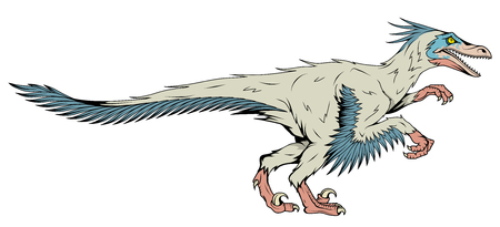 velociraptor with feathers, fossil dinosaur, prehistoric animals, vector graphic to designのイラスト素材