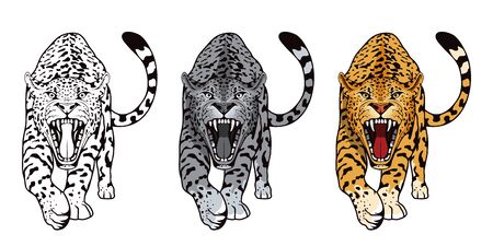Set of angry, leopard. Stands leopard. Predator animal. Leopard mascot color  .のイラスト素材