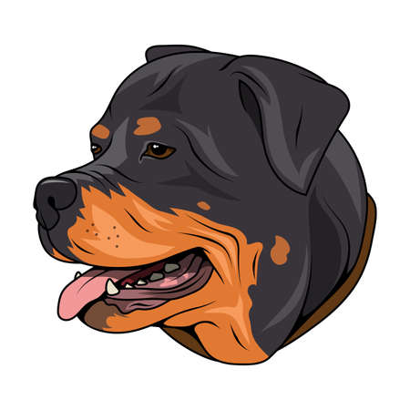 Rottweiler. Butcher's Dog. Best friend. Champion dog. Rottweiler Logo. Vector graphics to designのイラスト素材