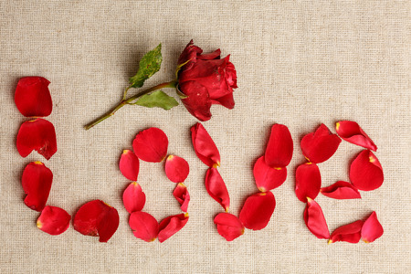 Word of rose petalsの写真素材