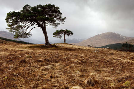 Bridge of Orchy - Scotlandの写真素材