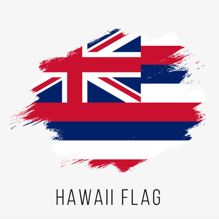 Hawaii flag vector illustration on white background. Hand drawn style design.のイラスト素材