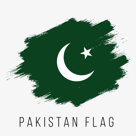 Pakistan flag vector illustration on a white background. Brush strokes of paint.のイラスト素材