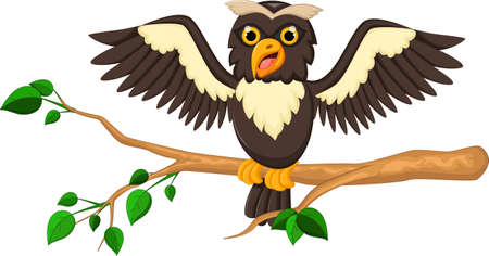 owl cartoon for you desingのイラスト素材