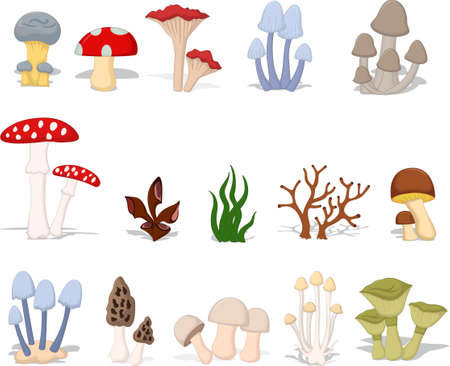 different kinds of mushroomsのイラスト素材