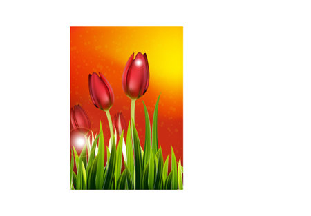 background with colorful flowers illustration.のイラスト素材