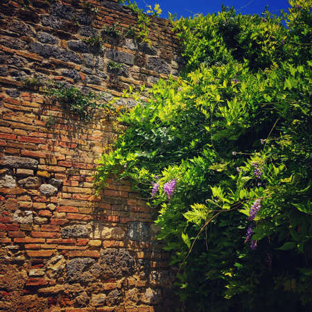 Medieval Wallの写真素材