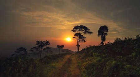 Dreamland Sunsetの写真素材