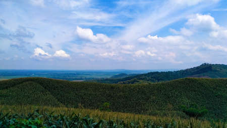 corn field Landscapeの写真素材