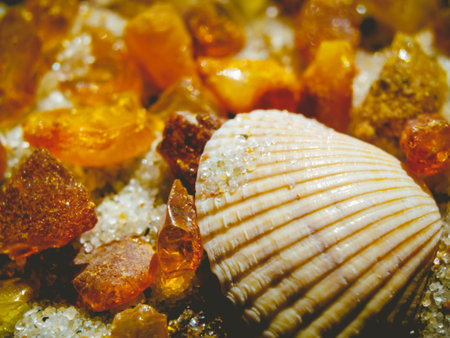 Photo of amber and sea shell on sand.の写真素材