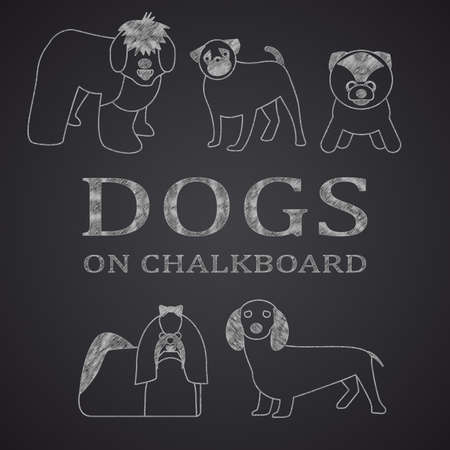 Different dogs drawn on chalkboard. Part 1のイラスト素材