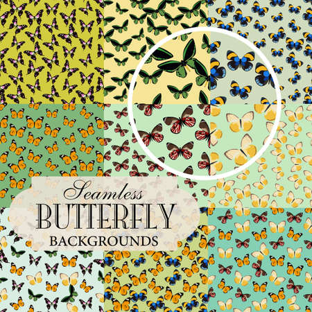 Collection of seamless backgrounds on the topic of butterfliesのイラスト素材