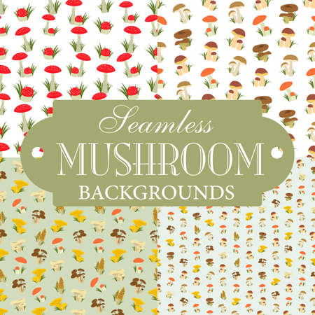 Collection of seamless backgrounds on the topic of mushroomsのイラスト素材