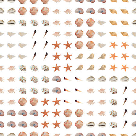 Seamless colorful background with sea shellsのイラスト素材