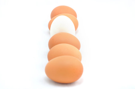 the difference of eggs in row on white background