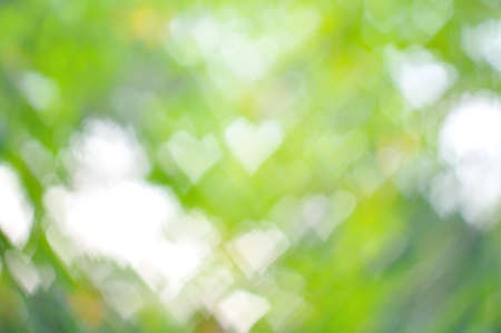 colorful heart bokeh background, Natural Backgroundの写真素材