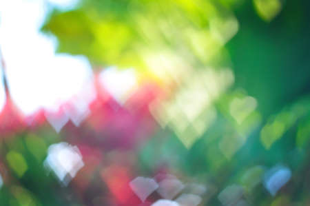 colorful heart bokeh backgroundの写真素材