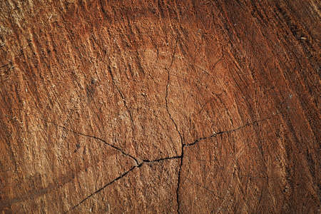 dark brown tree rings background texture.の写真素材