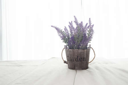 The bed with purple lavender flower and sunlight from glass of windows in bedroom, High key picture style.の写真素材